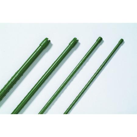 DAIM/すくすく竹 イボ付 11X900