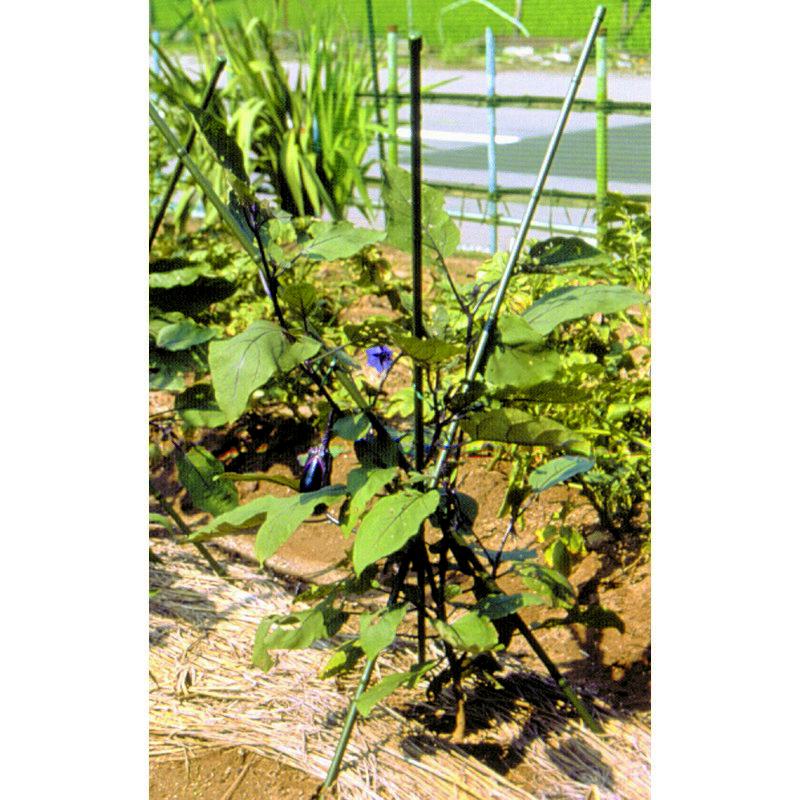 DAIM/三脚支柱 11mmxL120cm