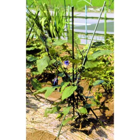 DAIM/三脚支柱 11mmxL120cm