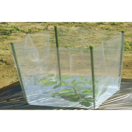 DAIM/野菜苗カードセット W23cmxD23cmxH56cm