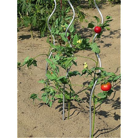 DAIM/トマト用支柱 1800mm