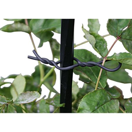 DAIM/バラ用やわらかバンド 4.8mmx5m 黒