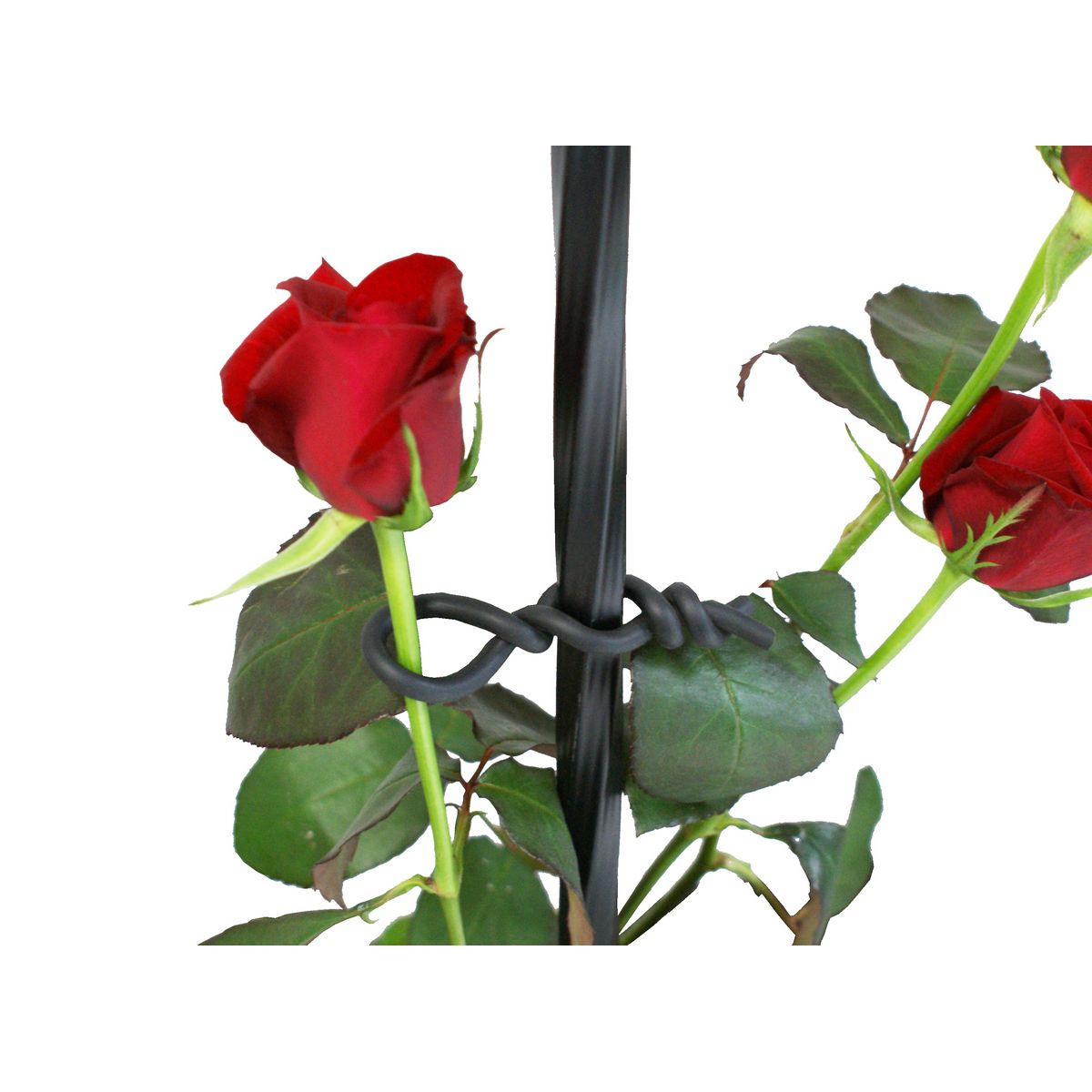 DAIM/バラ用やわらかバンド クロ 2.5mmx10m