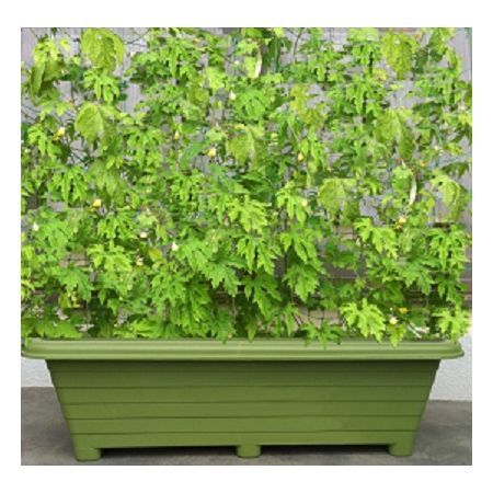 特価◎アイカ/ガーテンプランター900G グリーン