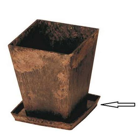 明和/バイオマスポット和皿 1枚