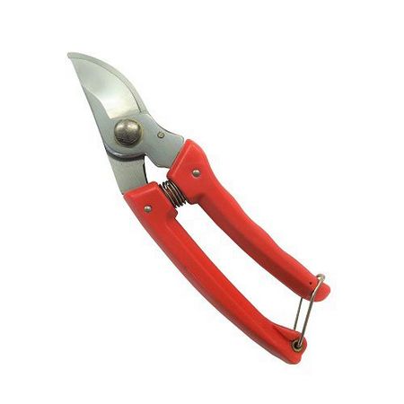 特価◎ダイシン/クロームメッキ剪定鋏 No79 レッド