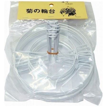 アイアグリ/菊の輪台 12cm