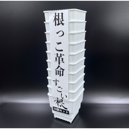 合同会社丸山農園/すごい根 スクエアショート2.5号 10個セット 白 CP74B-10
