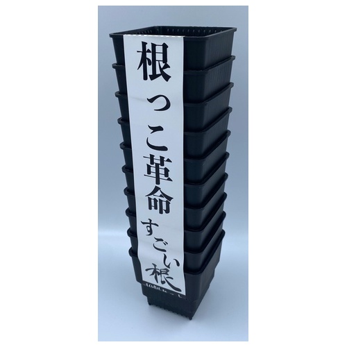 合同会社丸山農園/すごい根 スクエアショート2.5号 10個セット CP74B-10 クロ
