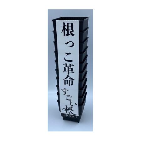 合同会社丸山農園/すごい根 スクエアショート2号 10個セット CP64B-10 クロ