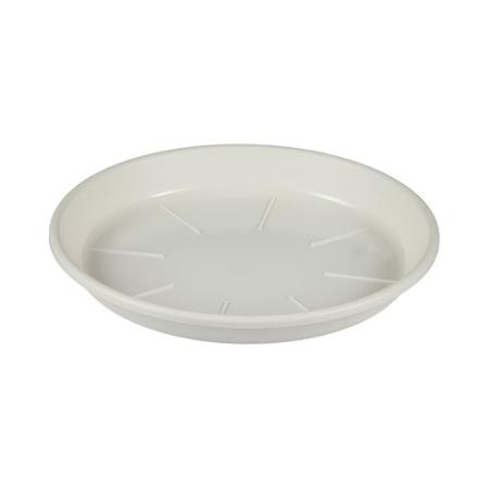 アップルウェアー/シンプルプレート 7号 ホワイト