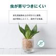 welzo/焼成済み国産天然ゼオライト 2.0L