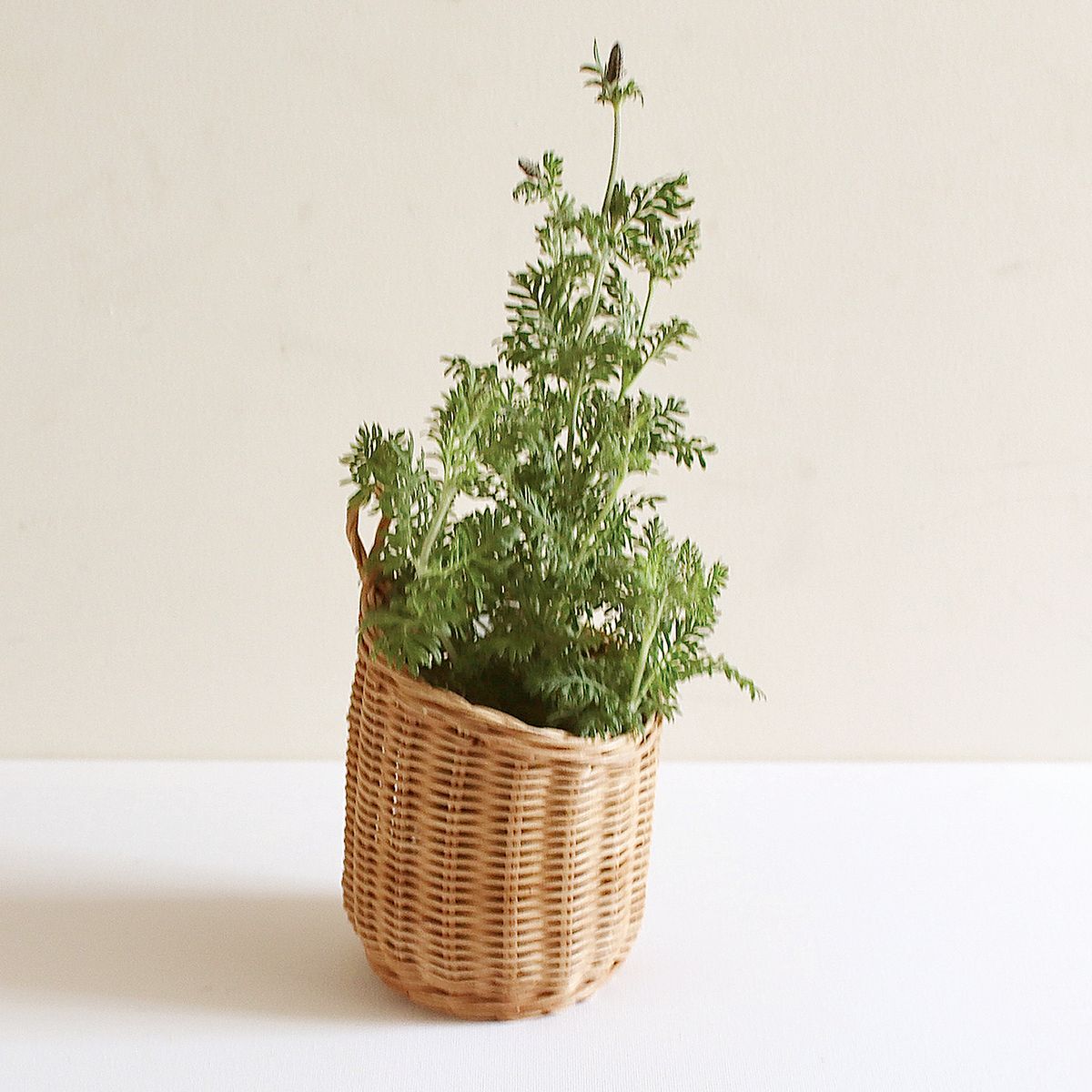 SOW/MERRY  バスケットハンギング/NRLG2604