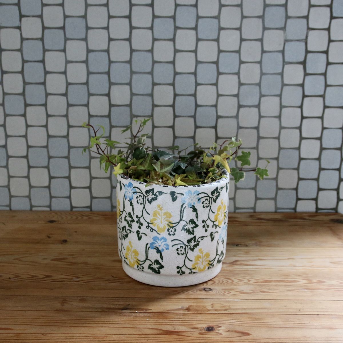 SOW/ブルーミー セラミックポット ミックス Mサイズ/SHUN002M