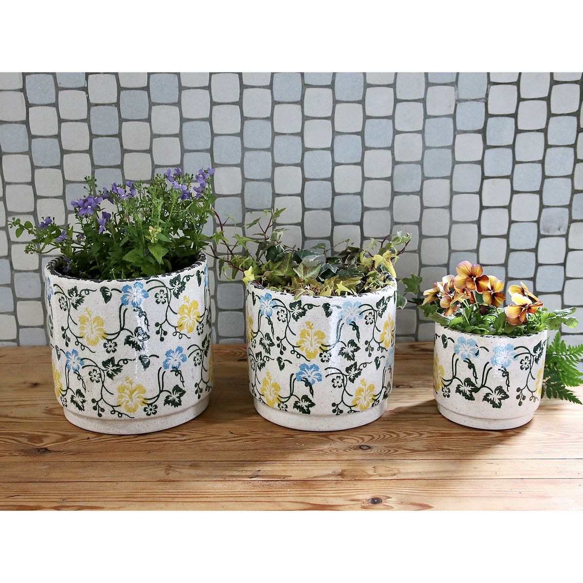 SOW/ブルーミー セラミックポット ミックス Lサイズ/SHUN002L