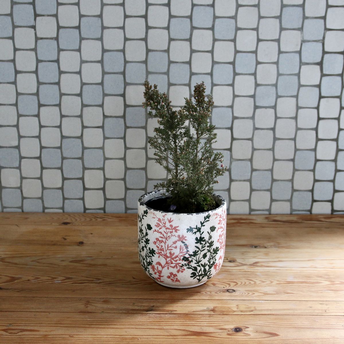 SOW/ブルーミー セラミックポット ピンク Mサイズ/SHUN003M