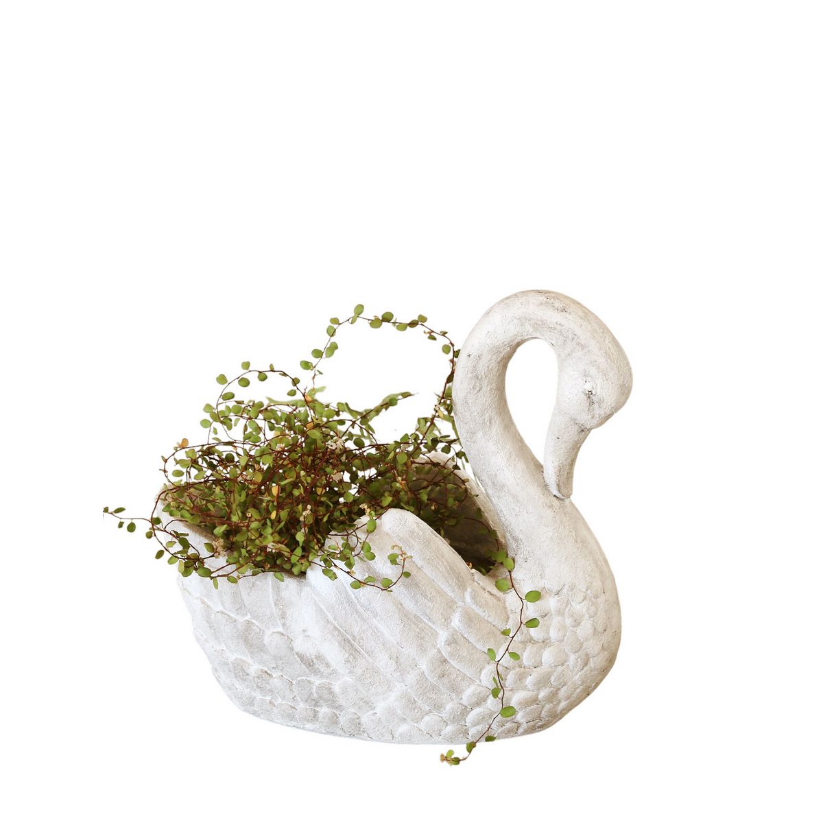 SOW/スワンポット Sサイズ/SWAN001S