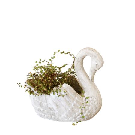 SOW/スワンポット Sサイズ/SWAN001S