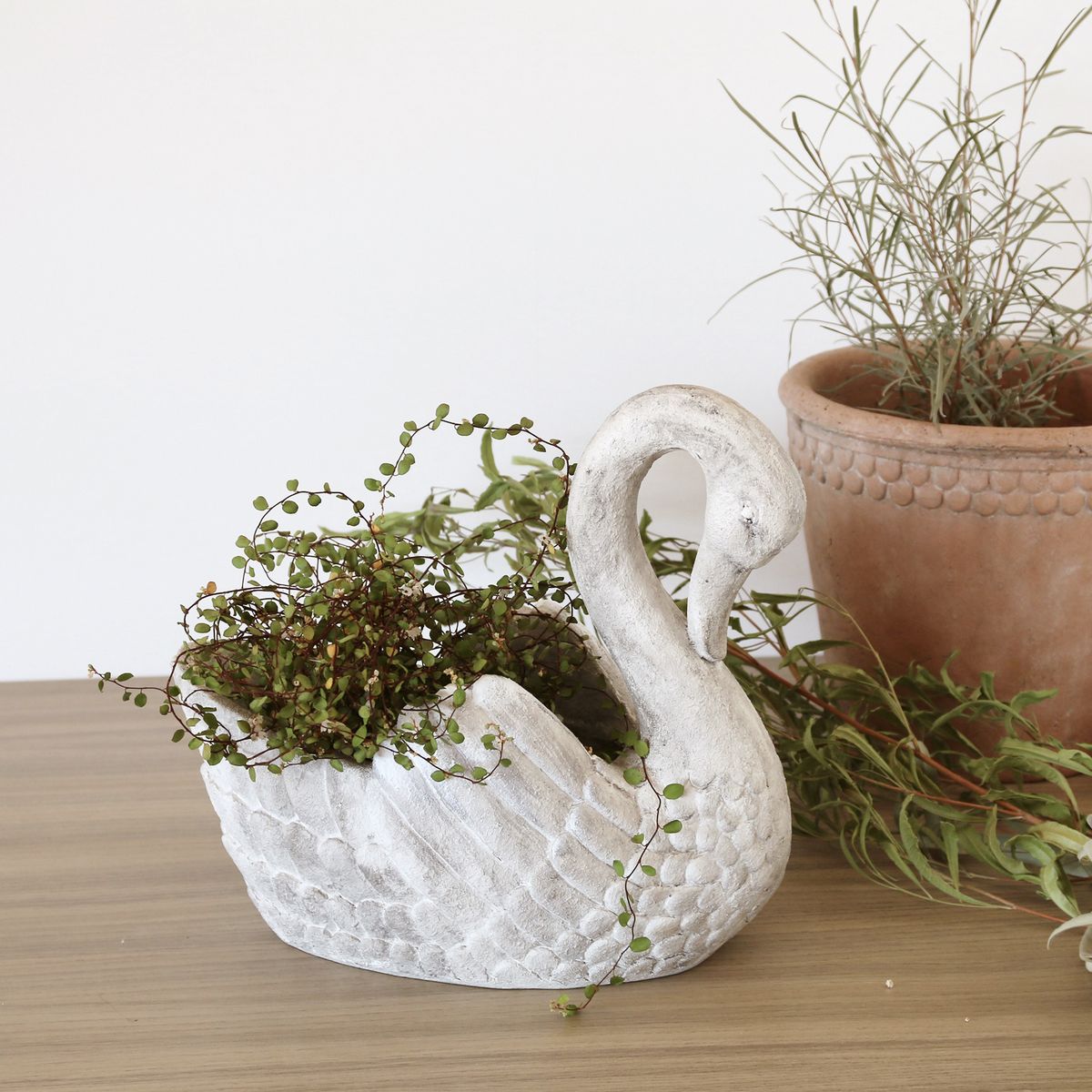 SOW/スワンポット Sサイズ/SWAN001S