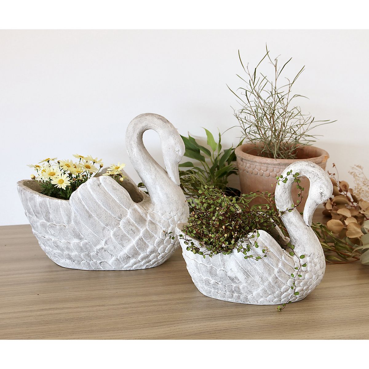 SOW/スワンポット Mサイズ/SWAN001M