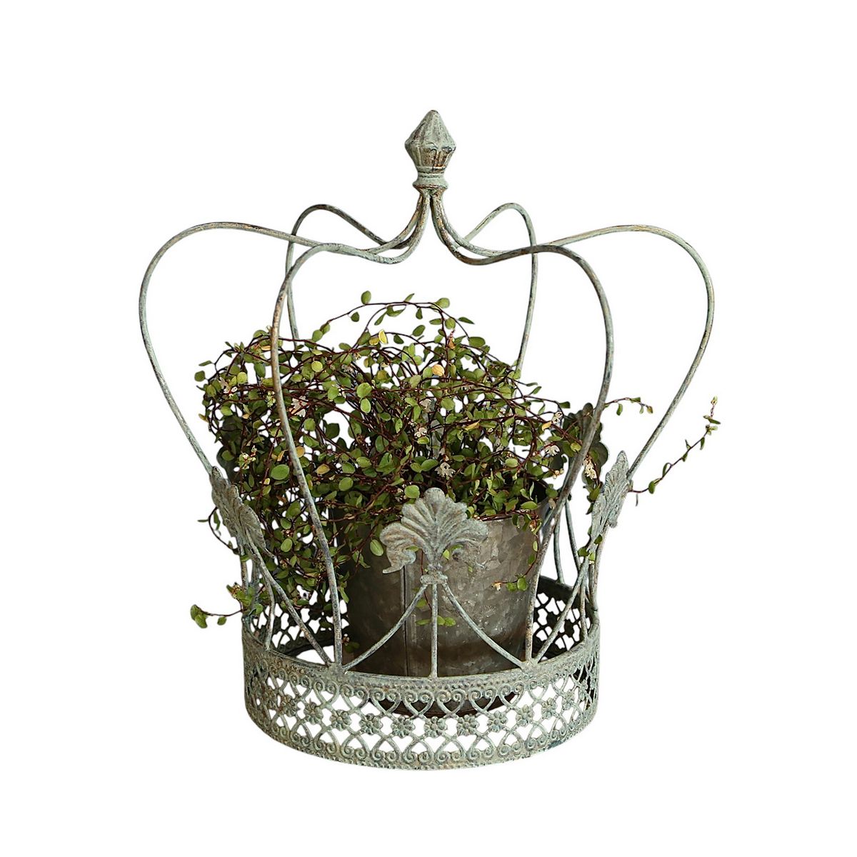 SOW/シャビーシッククラウンゲージ Lサイズ/YHF3002