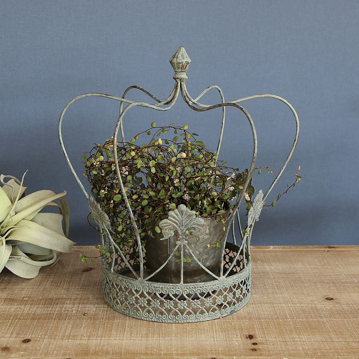 SOW/シャビーシッククラウンゲージ Lサイズ/YHF3002