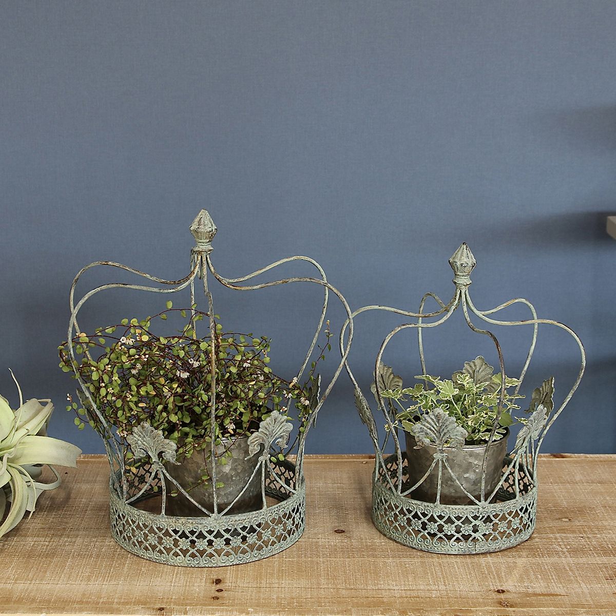 SOW/シャビーシッククラウンゲージ Lサイズ/YHF3002