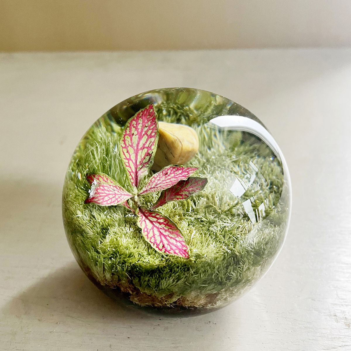 SOW/ペーパーウェイト ボタニカルオーブ フットニア/NBP001