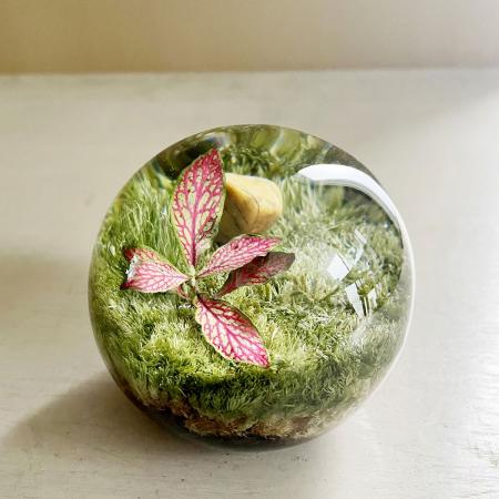 SOW/ペーパーウェイト ボタニカルオーブ フットニア/NBP001