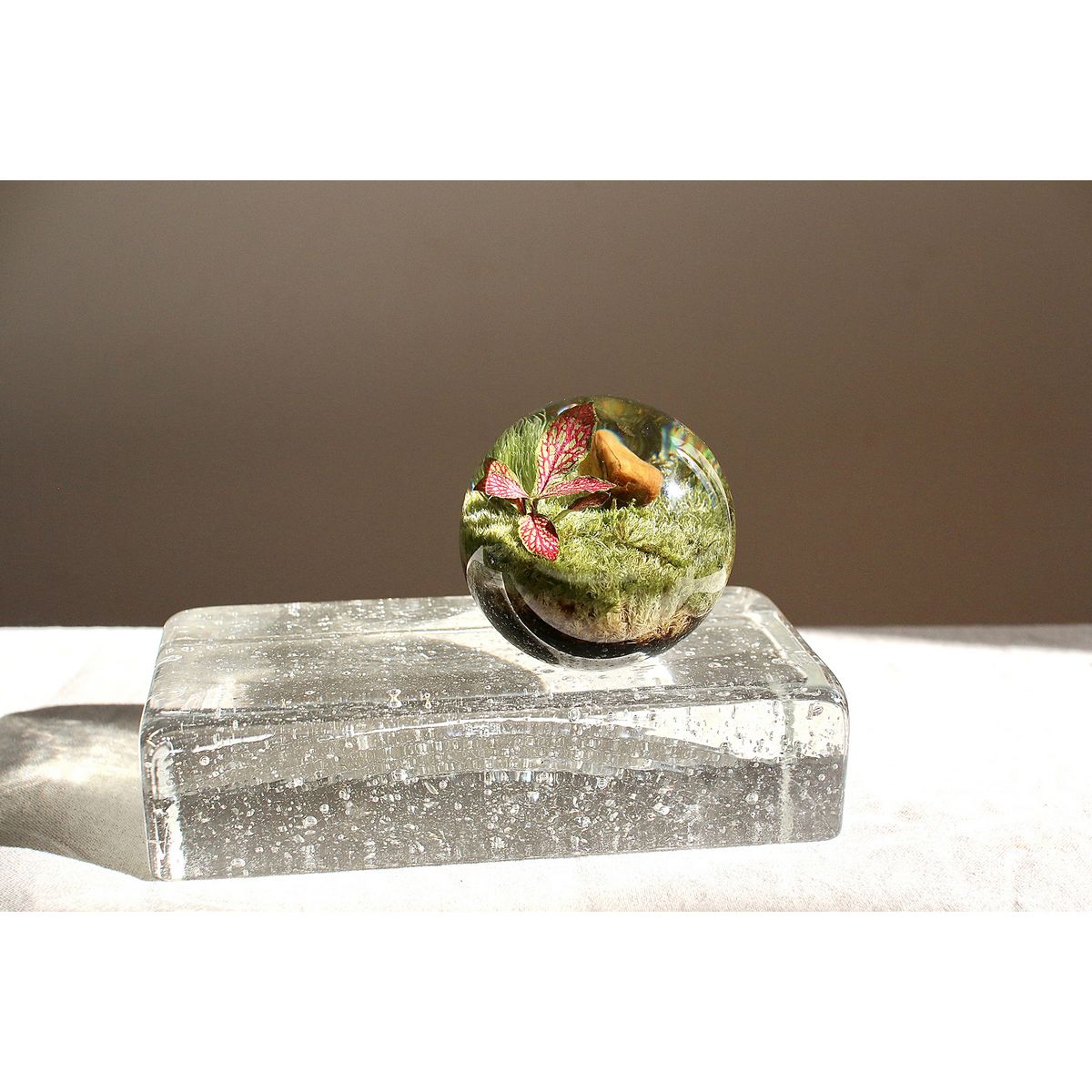 SOW/ペーパーウェイト ボタニカルオーブ フットニア/NBP001