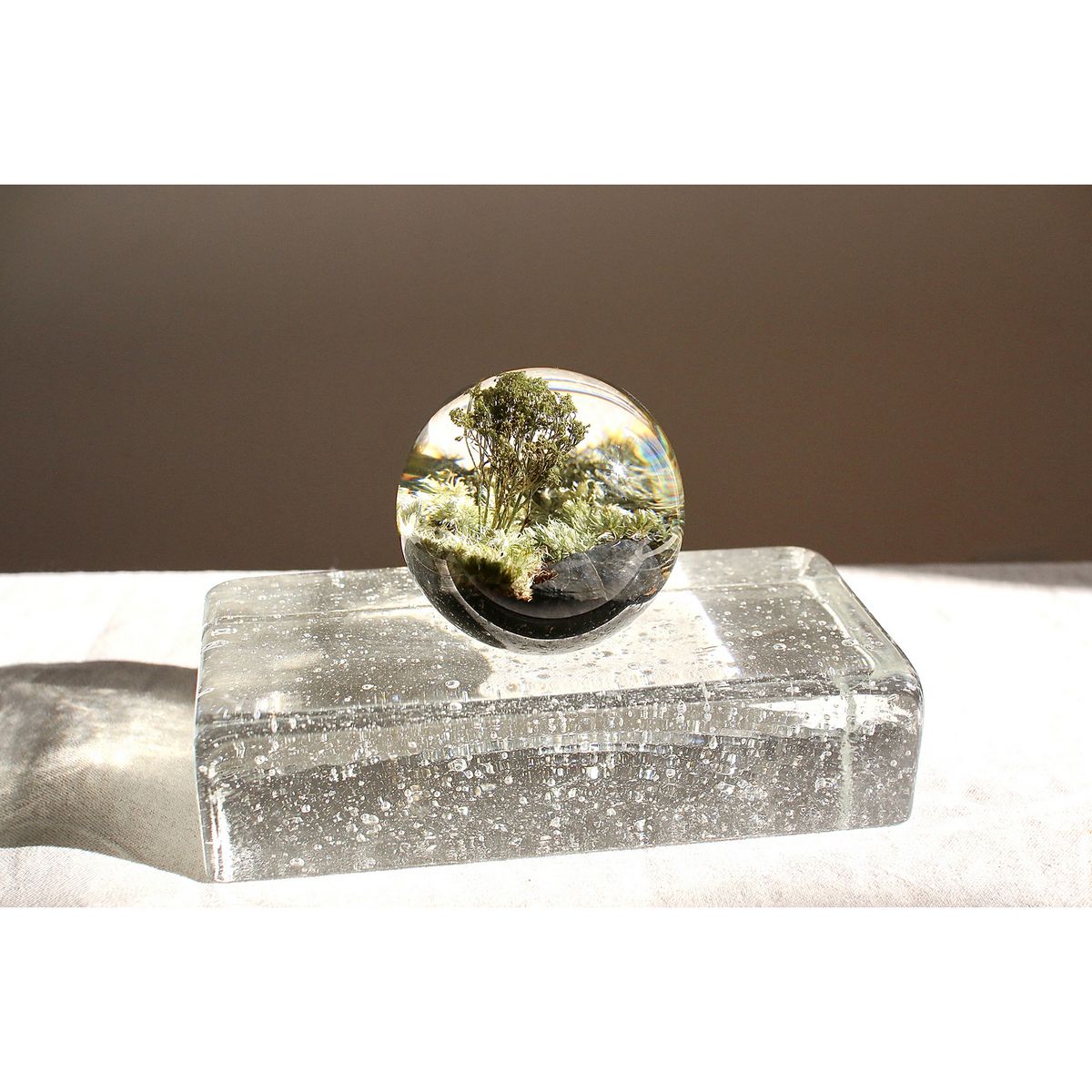 SOW/ペーパーウェイト ボタニカルオーブ フォレスト/NBP002