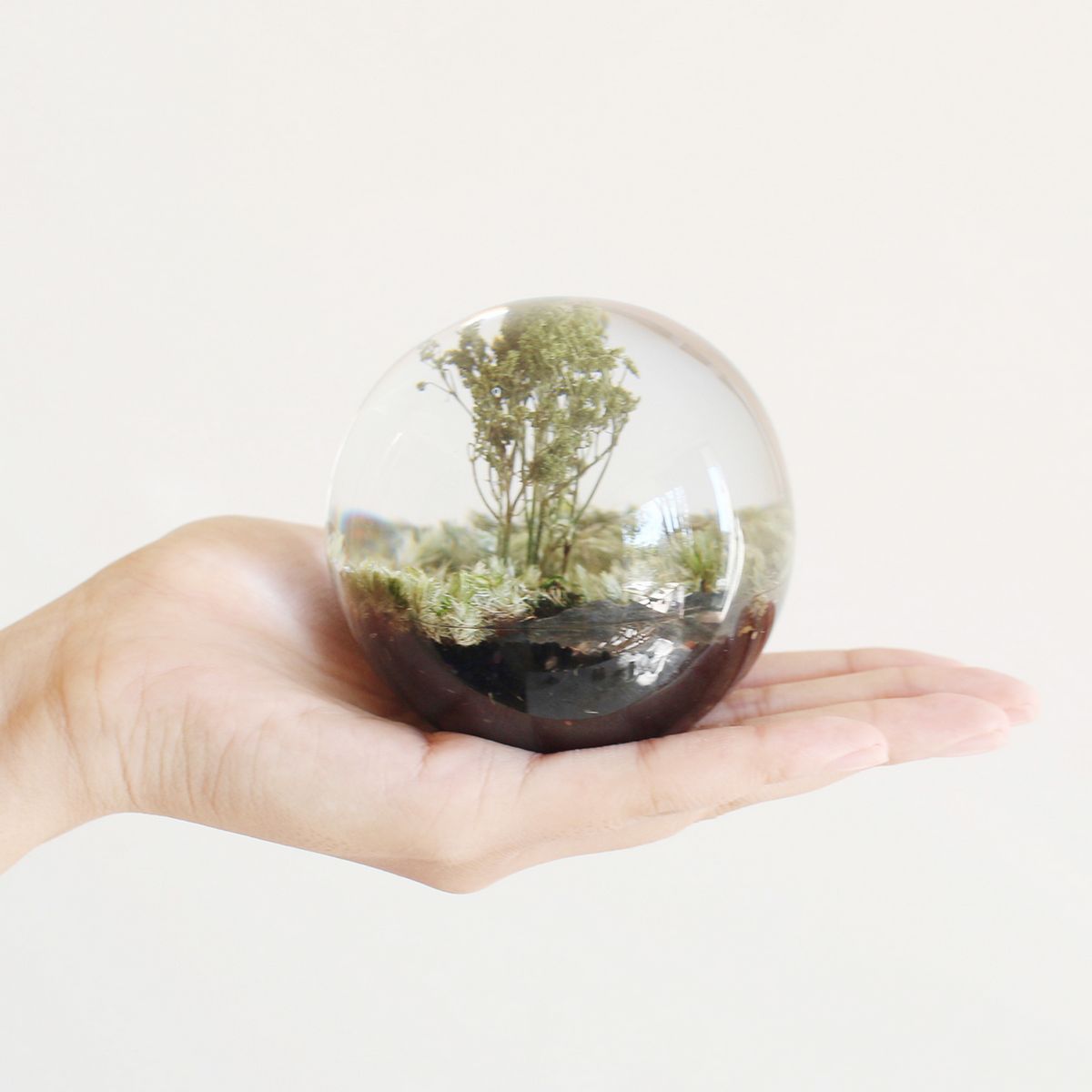 SOW/ペーパーウェイト ボタニカルオーブ フォレスト/NBP002