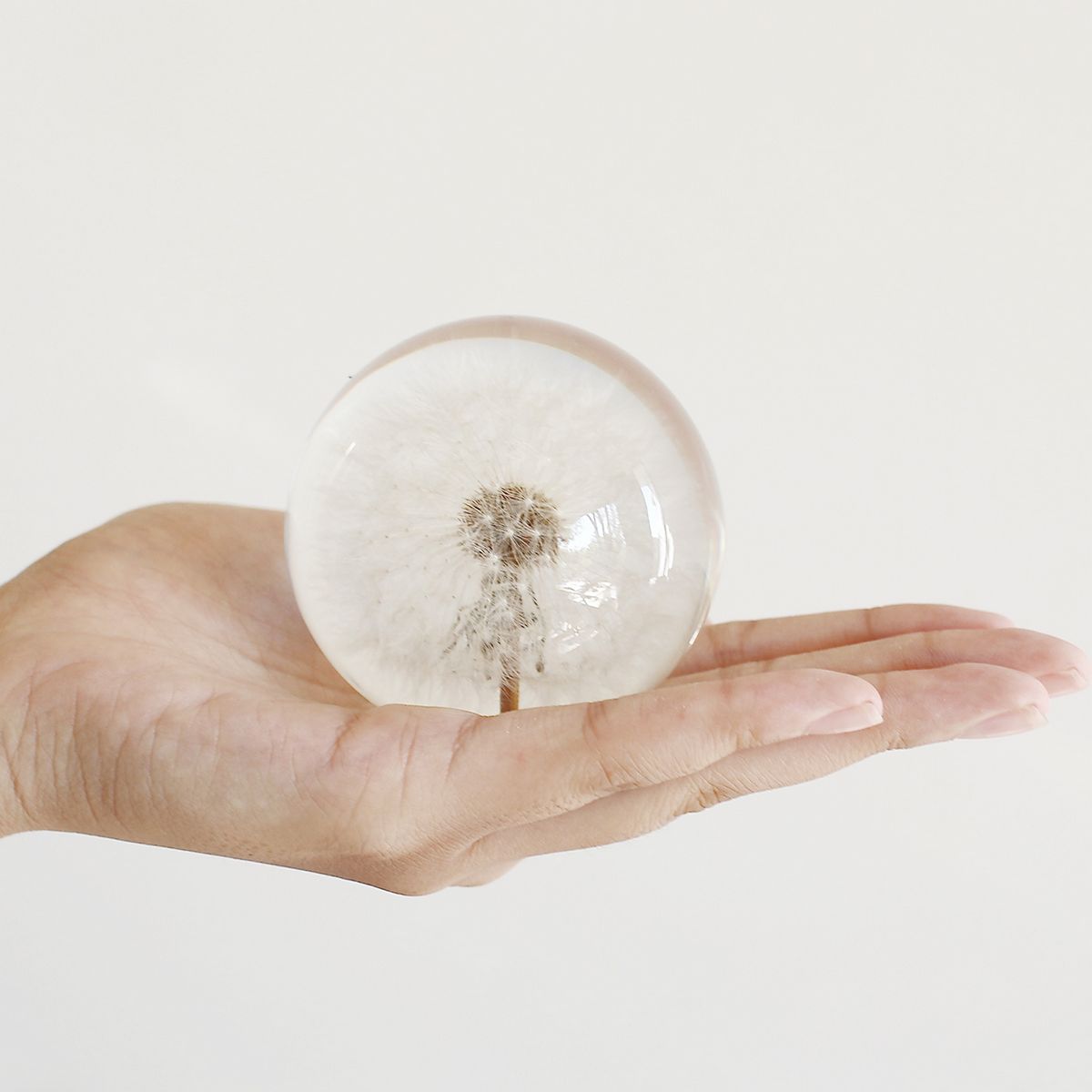 SOW/ペーパーウェイト ボタニカルオーブ ダンデライオン/NBP004