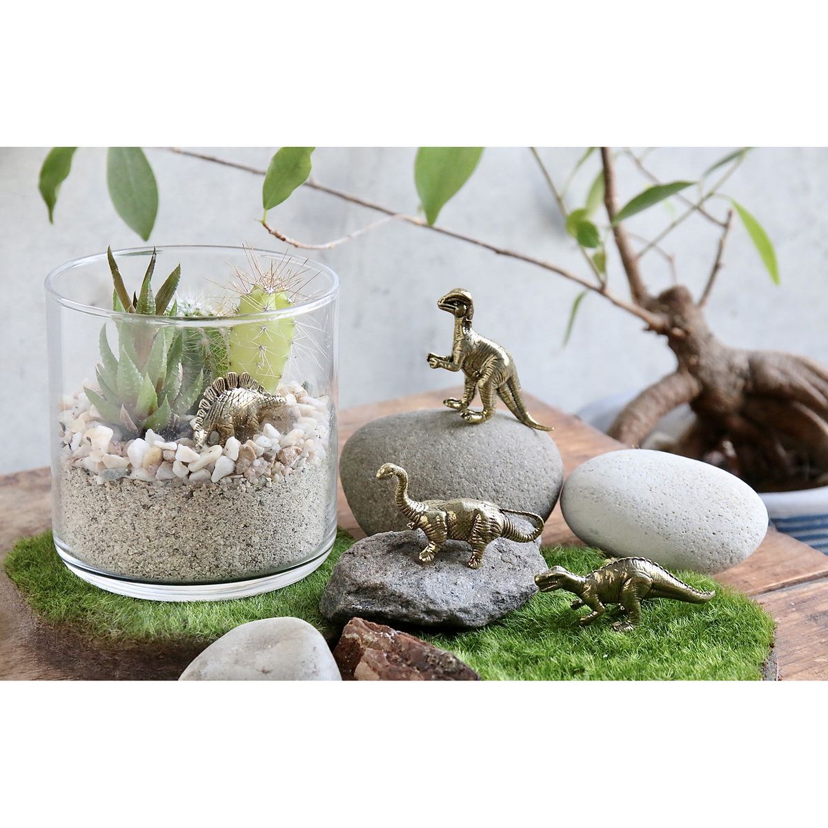 SOW/ダイナブレス パキケファロサウルス/MN004