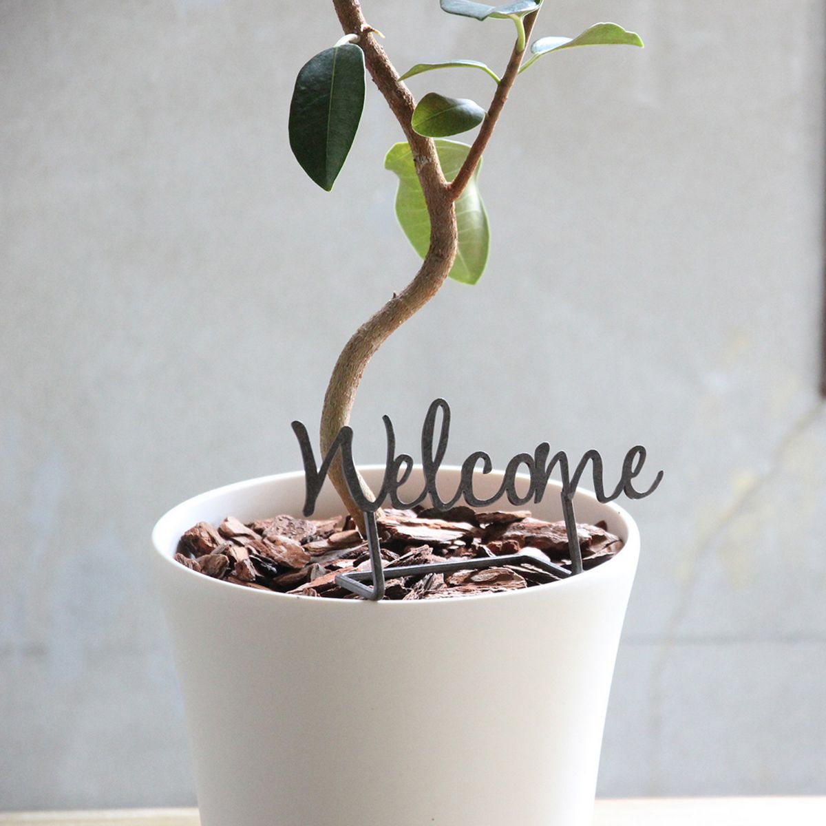 SOW/サインデコ アイアン Welcome ブラック Sサイズ/DTDT2451BKSW