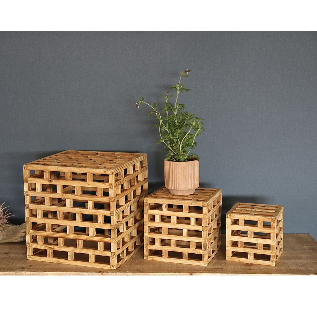 SOW/TUMU ウッドディスプレイボックススクエア Sサイズ/HYHY1001S