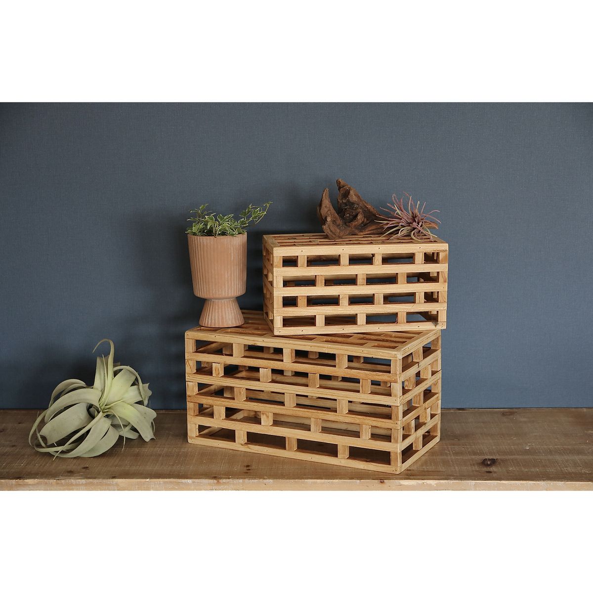 SOW/TUMU ウッドディスプレイボックスワイド Sサイズ/HYHY1002S