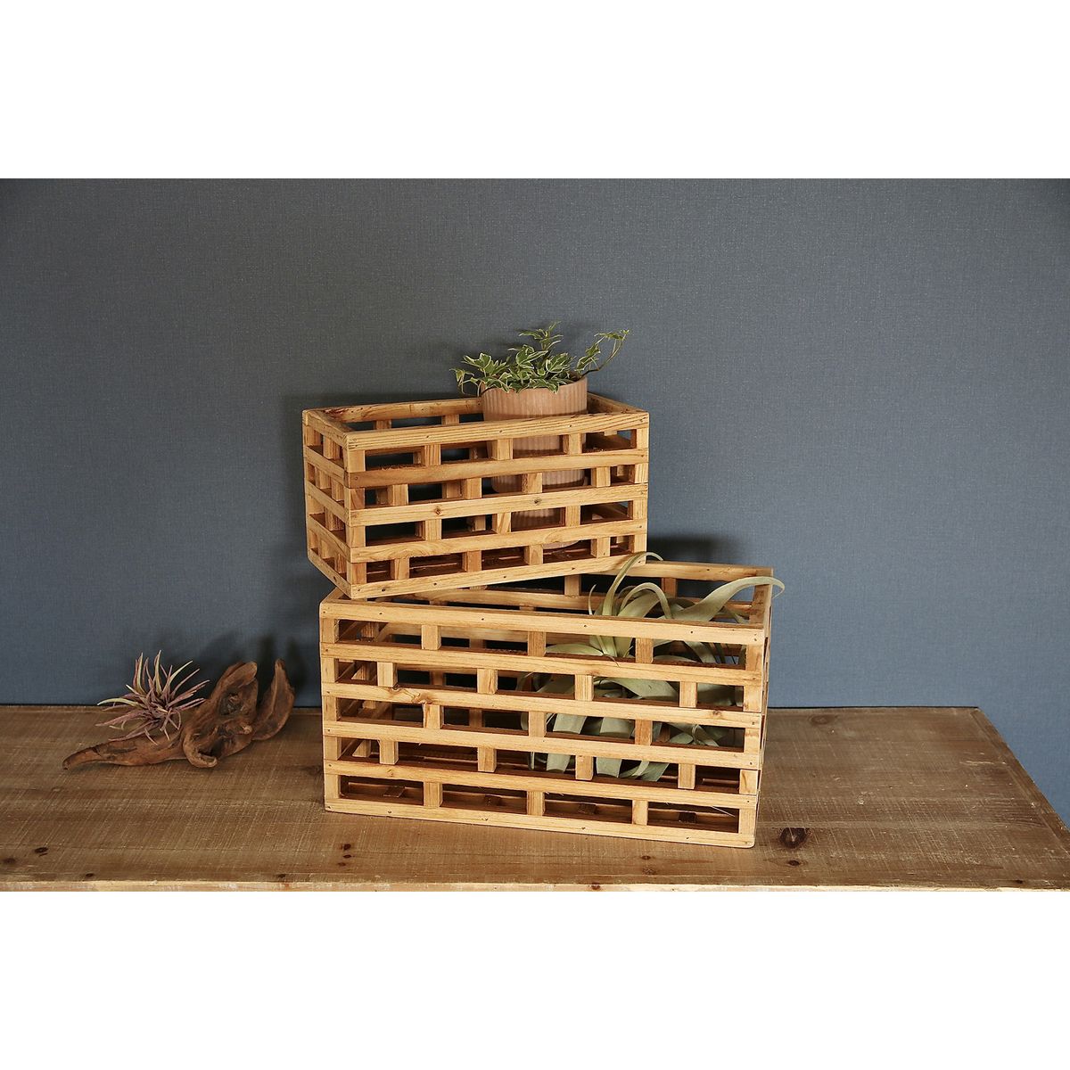 SOW/TUMU ウッドディスプレイボックスワイド Sサイズ/HYHY1002S