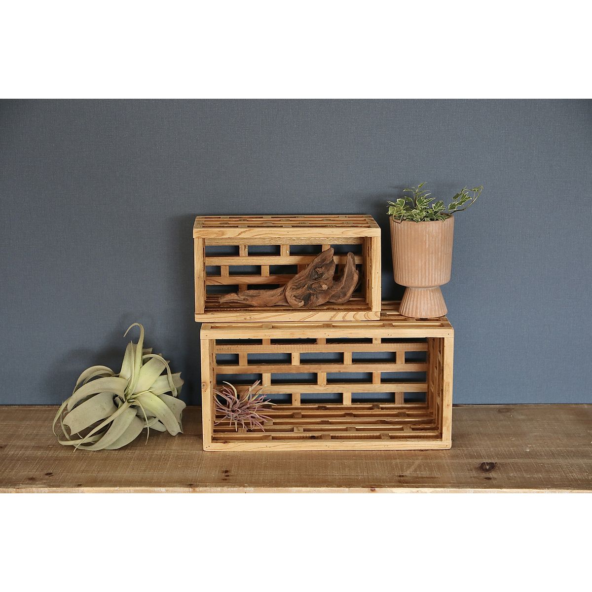 SOW/TUMU ウッドディスプレイボックスワイド Mサイズ/HYHY1002M