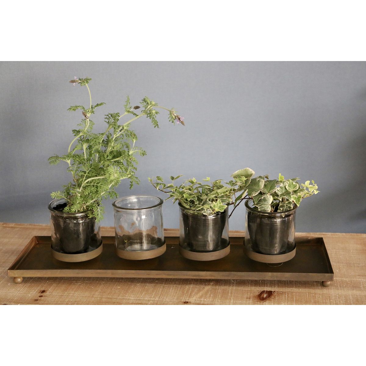 SOW/モジュール レクトガラスホルダー Mサイズ/AMCH5002