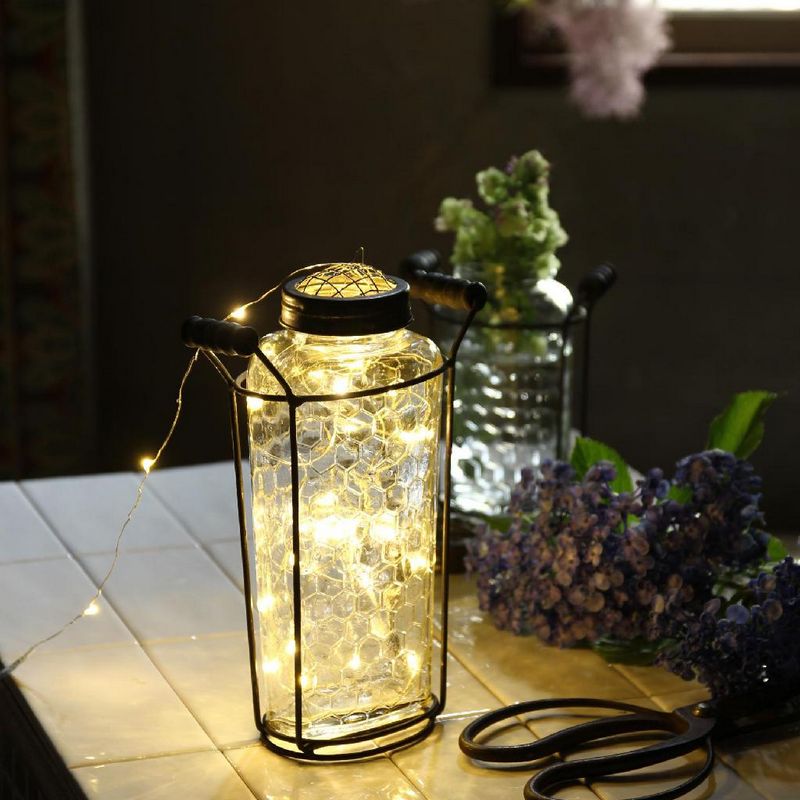 SOW/ガラスフラワーベース アイアンハンドル&メッシュ蓋付き Lサイズ/ZHGR1023SW