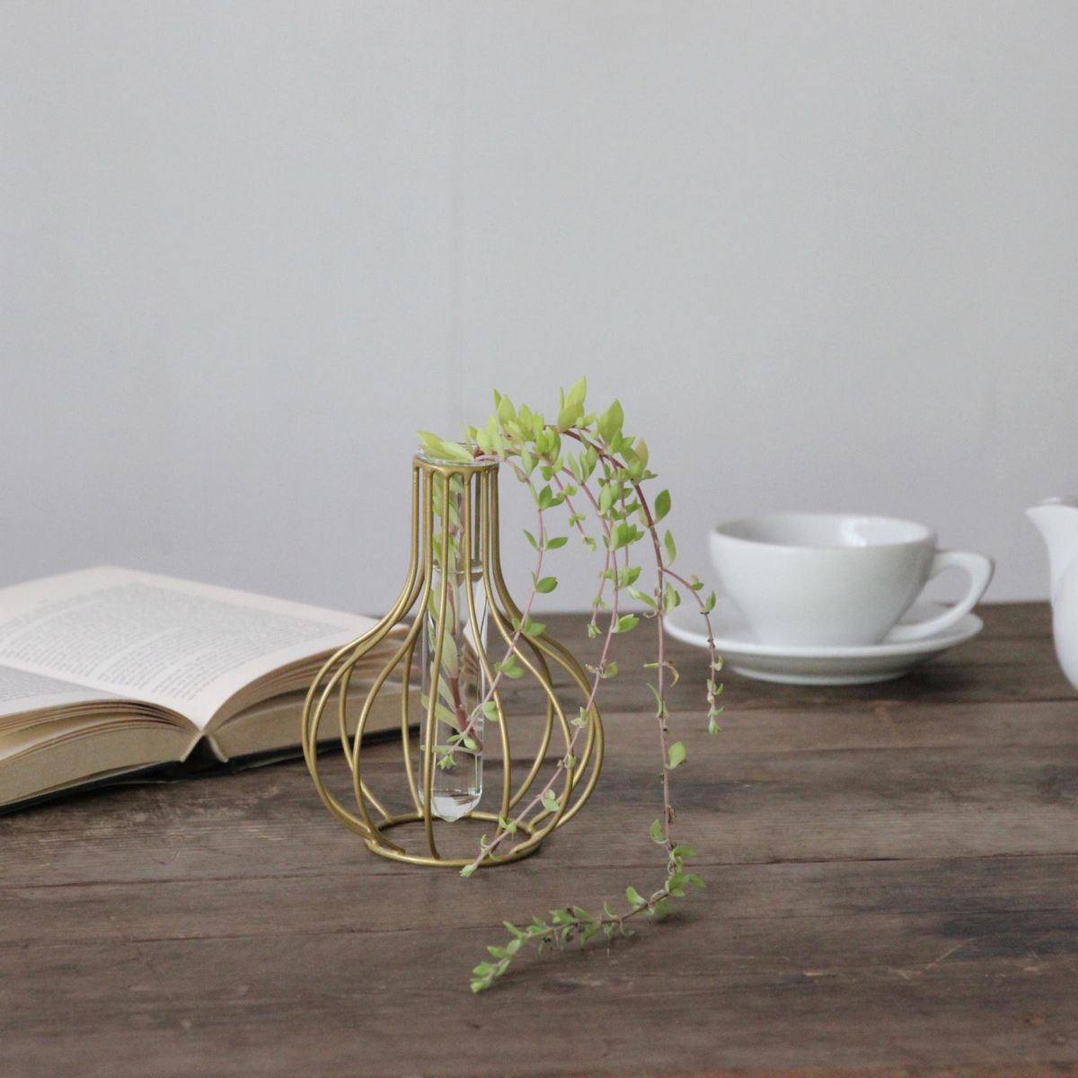 SOW/一輪挿し ゴールドラインフレーム A/ZHGT2310SW