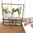 SOW/ブリュージュ ガラスボトルフラワーベース アイアンホルダー付き トリプル/HELZ2080SW