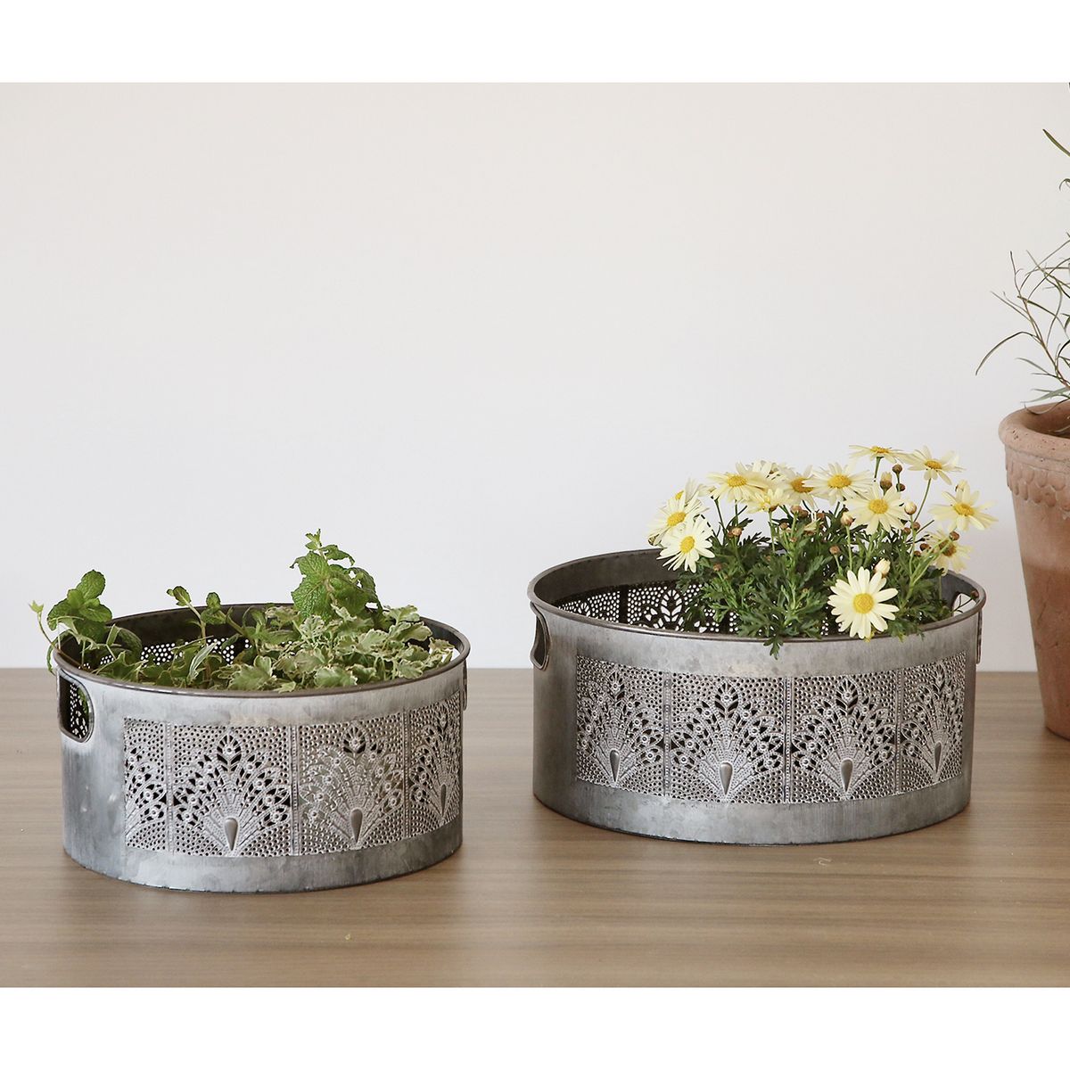 SOW/SCADINAVIANメタルフラワーポット Sサイズ/FJGK8001