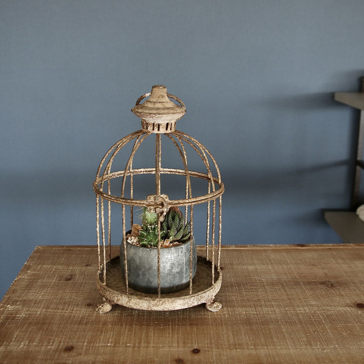 SOW/アンクブリキバードケージ サークル Sサイズ/DLMM3000S