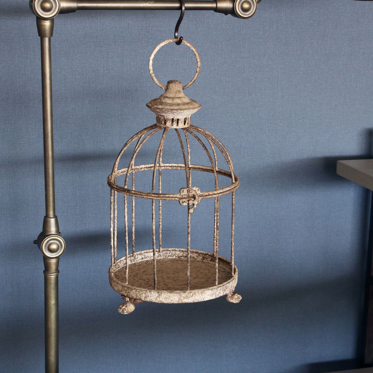 SOW/アンクブリキバードケージ サークル Sサイズ/DLMM3000S