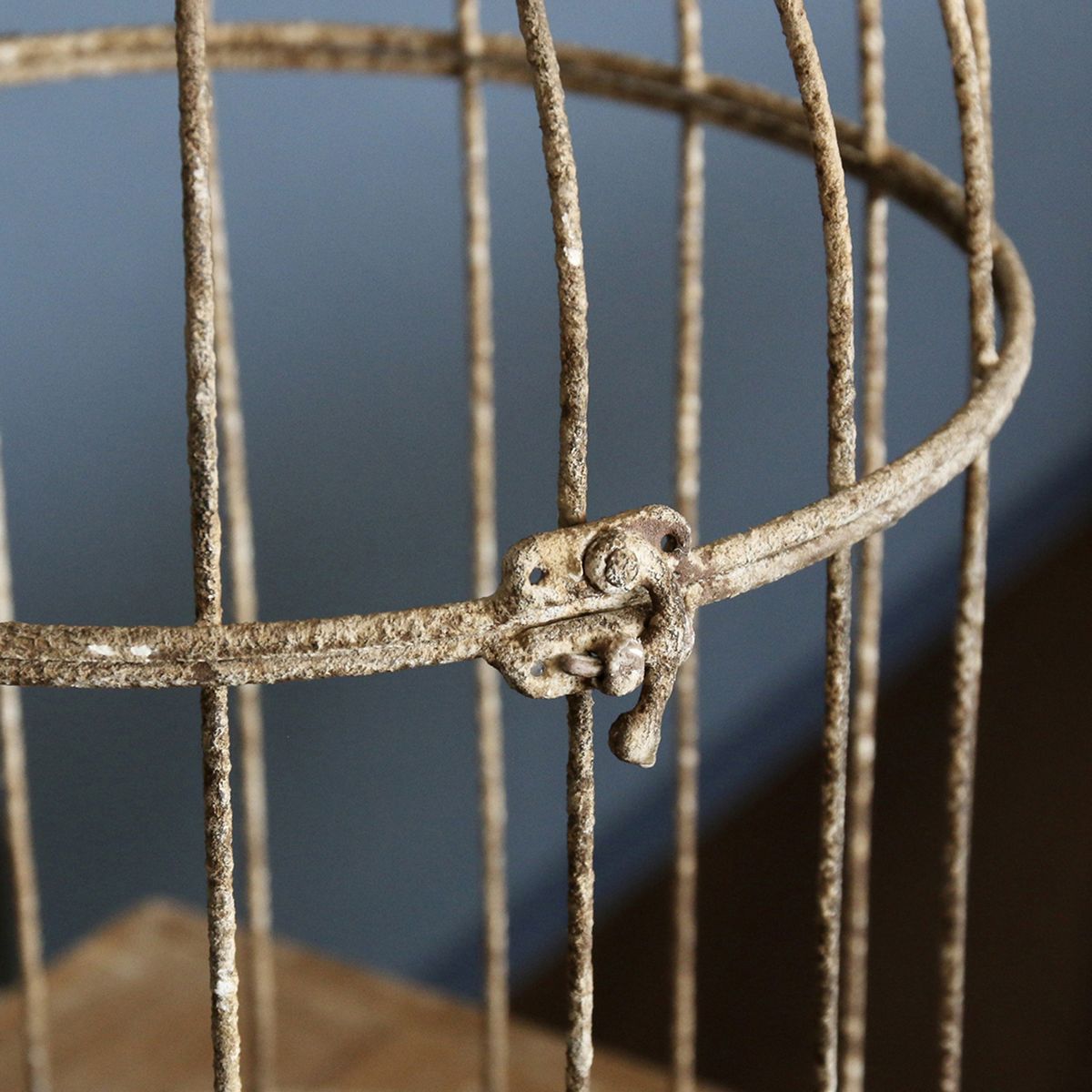 SOW/アンクブリキバードケージ サークル Sサイズ/DLMM3000S