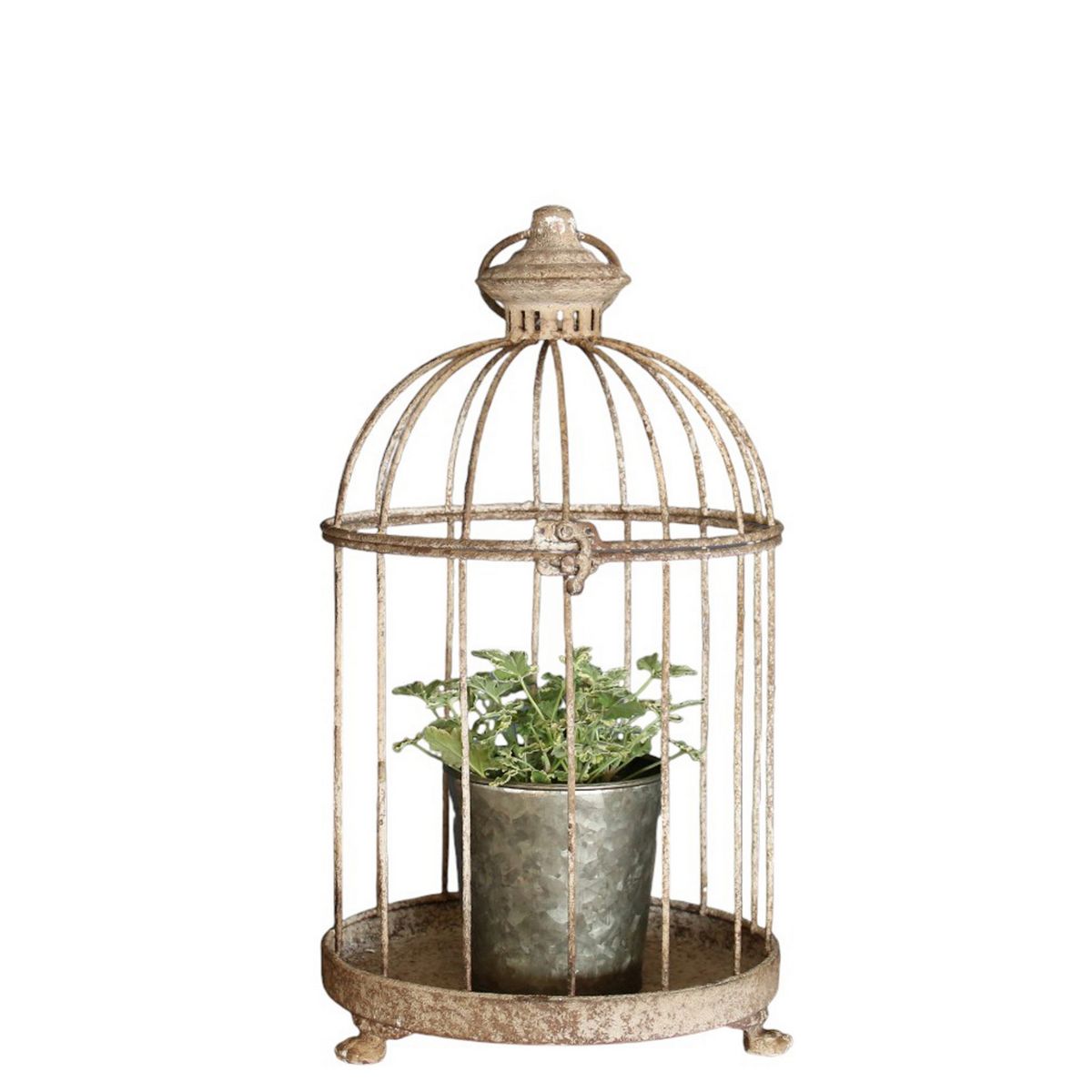 SOW/アンクブリキバードケージ サークル Mサイズ/DLMM3000M