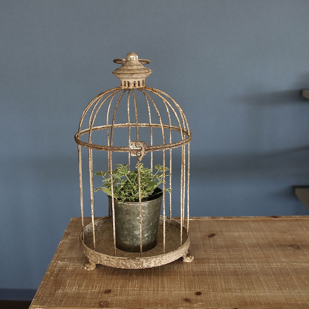 SOW/アンクブリキバードケージ サークル Mサイズ/DLMM3000M