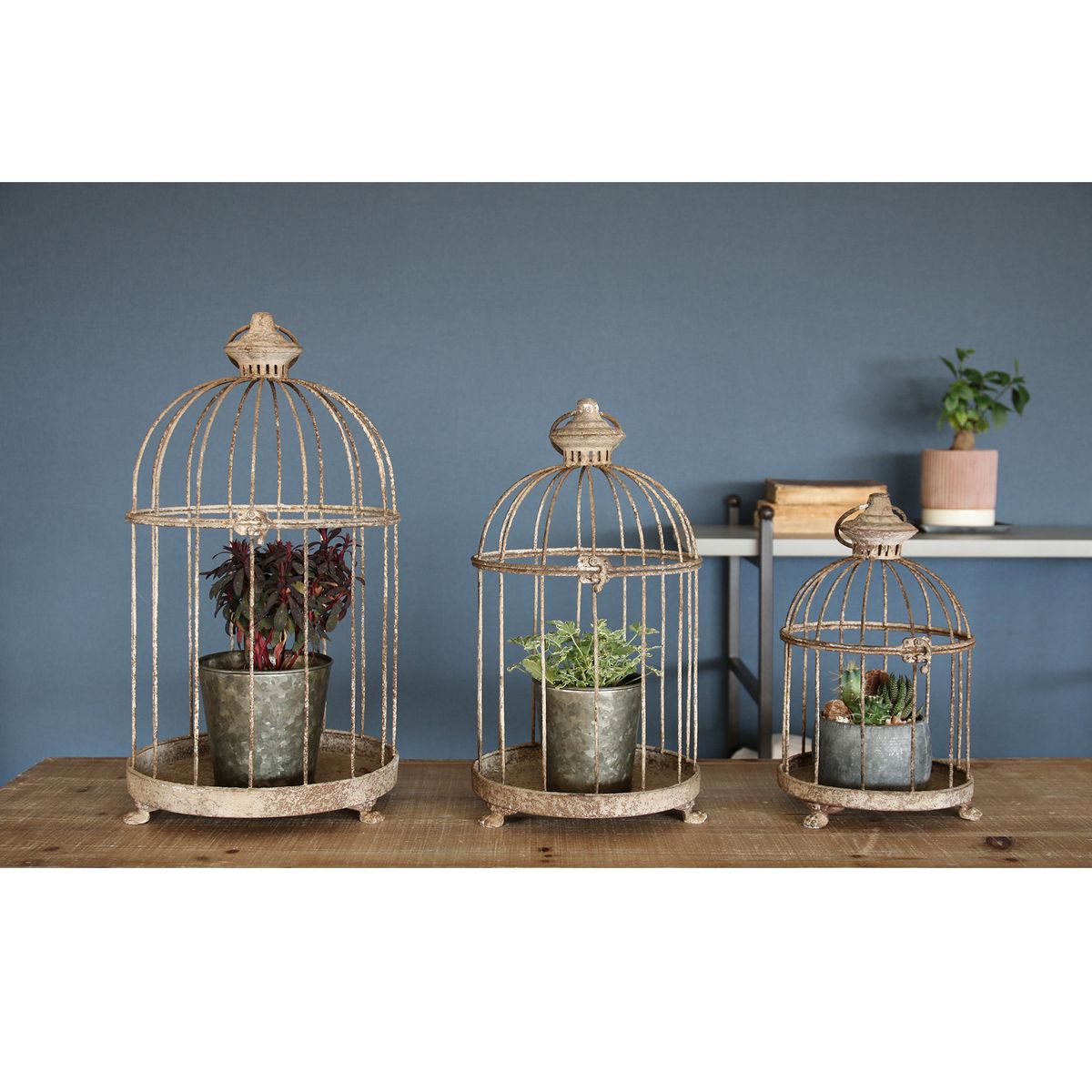 SOW/アンクブリキバードケージ サークル Mサイズ/DLMM3000M